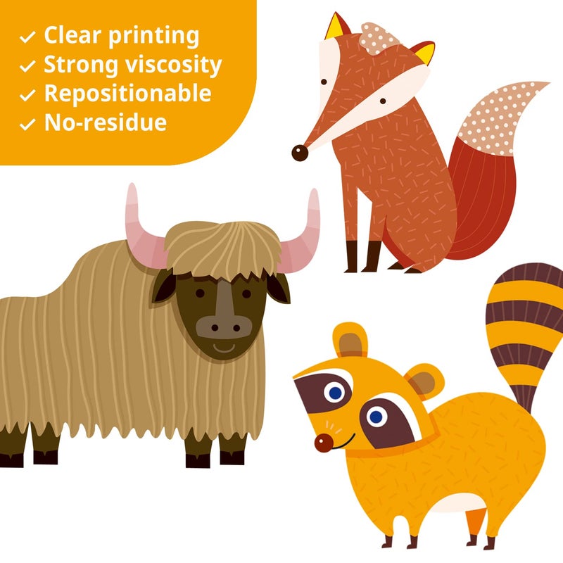 DECOWALL DS12-8070N Animal Alphabet Numbers Colour Weather Kids Wall Stickers Decals playroom Letters Decor Bedroom ABC Nursery Classroom Toddlers Learning Educational Baby Rainbow Colorful - Image 4